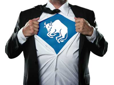 stier-karriere Stier Karriere und Beruf