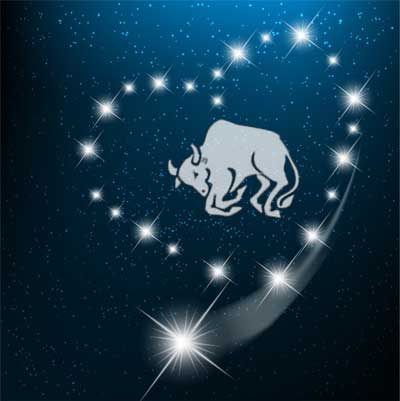 stier-liebe Stier Liebe