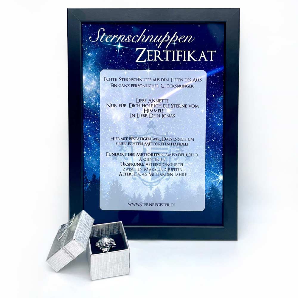Sternschnuppe-1000 Sternschnuppe