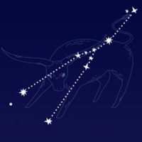 partnerhoroskop Partnerhoroskop