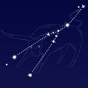 partnerhoroskop Partnerhoroskop