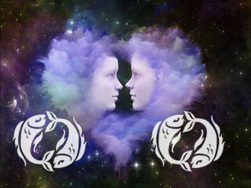 fische-fische Fische und Fische