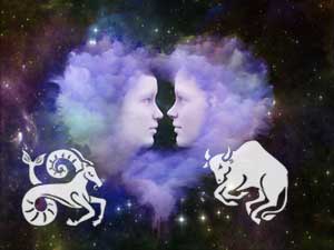 steinbock-stier-klein Steinbock und Stier