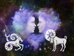 steinbock-widder-klein Steinbock und Widder