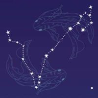 partnerhoroskop Partnerhoroskop