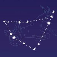 partnerhoroskop Partnerhoroskop