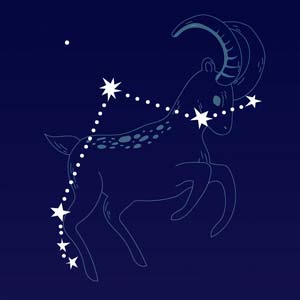 partnerhoroskop Partnerhoroskop