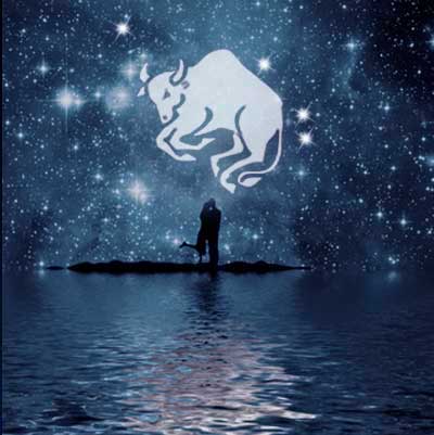 stier-partner Stier als Partner